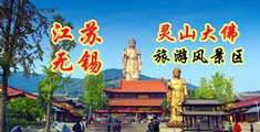 欧′美插屄视频网江苏无锡灵山大佛旅游风景区